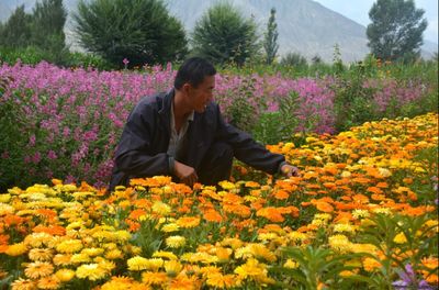 金佛寺鎮(zhèn)花卉種植基地 黨建引領下的豆類產(chǎn)業(yè)新篇章